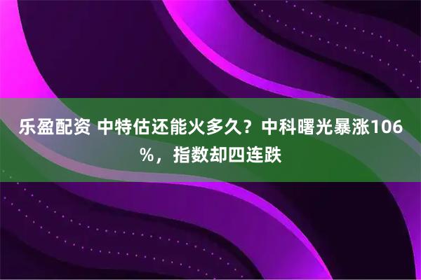乐盈配资 中特估还能火多久?中科曙光暴涨106%,指数却四连跌